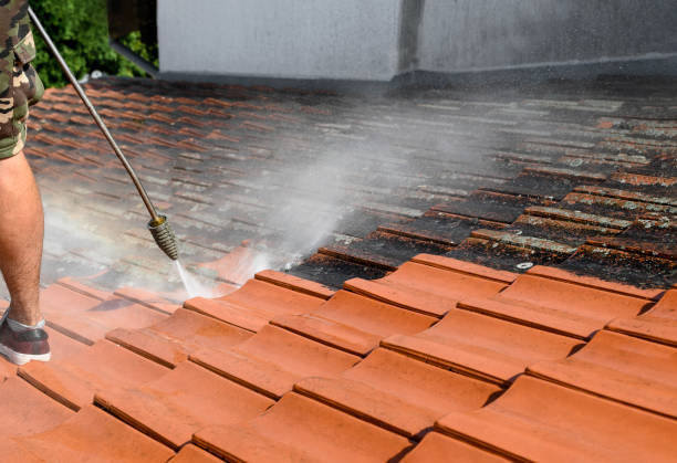 Best Deck Cleaning Services  in Port St Joe, FL